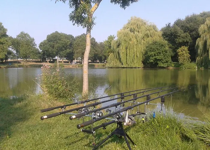 Mobil-home 3 étoiles Camping Genouille (Charente-Maritime)